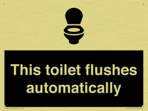 This toilet flushes automatically